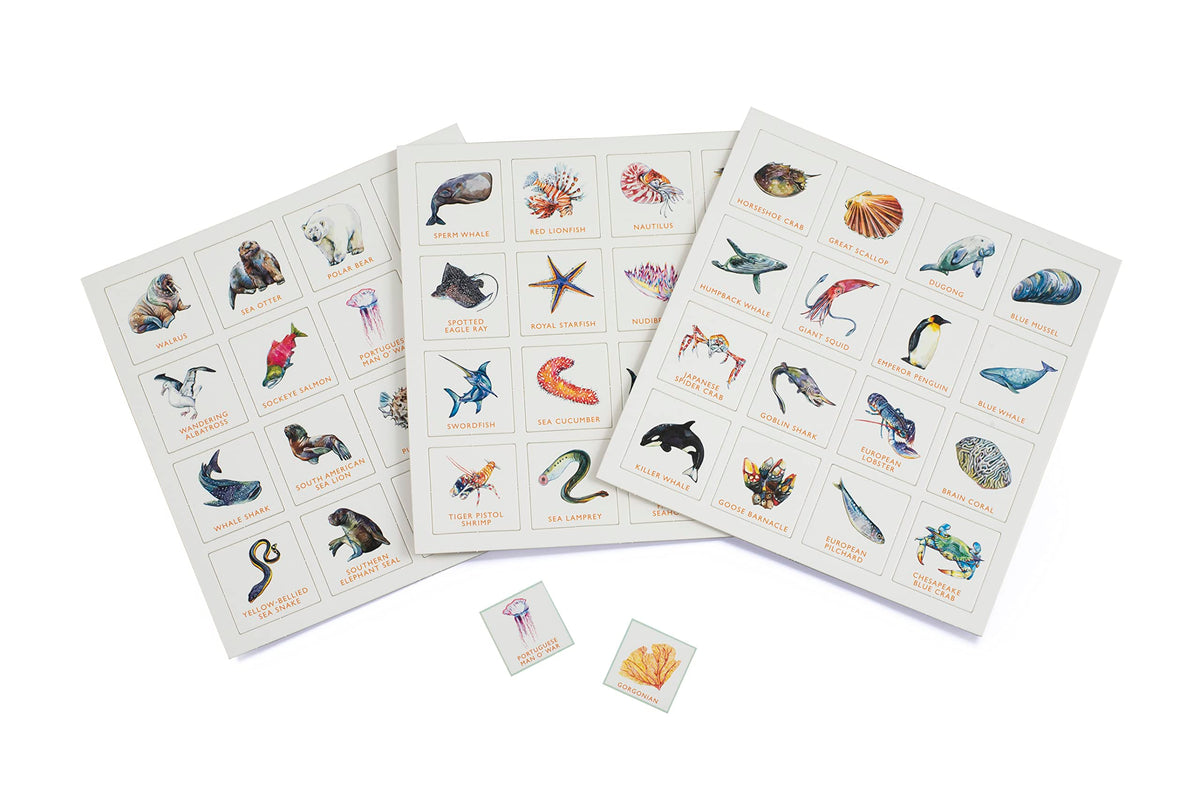 Laurence King Ocean Bingo Pacific seahorse card inviting curious minds.