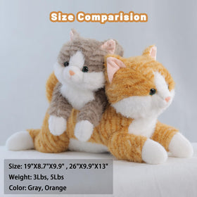 Leahaoe orange-faced weighted cat close-up, friendly expression for companionship.