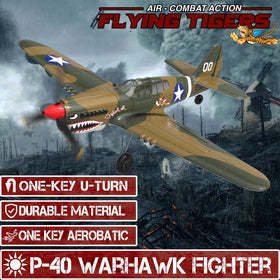 LEAMBE Xpilot Stabilization System showing stability in flight