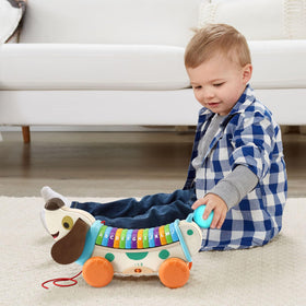 LeapFrog AlphaPup is designed for ages 12 months and up.