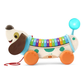 LeapFrog Wooden AlphaPup wobbles and lights up its tail as it moves along.