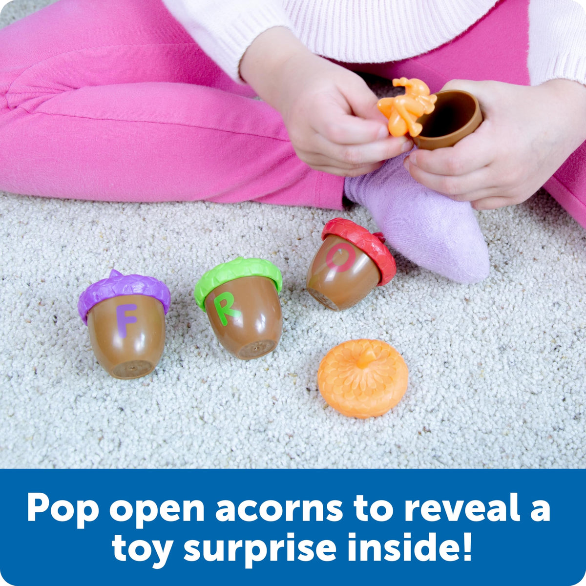 Learning Resources Alphabet Acorns Inside Toy revealing color coded toy linked to each letter