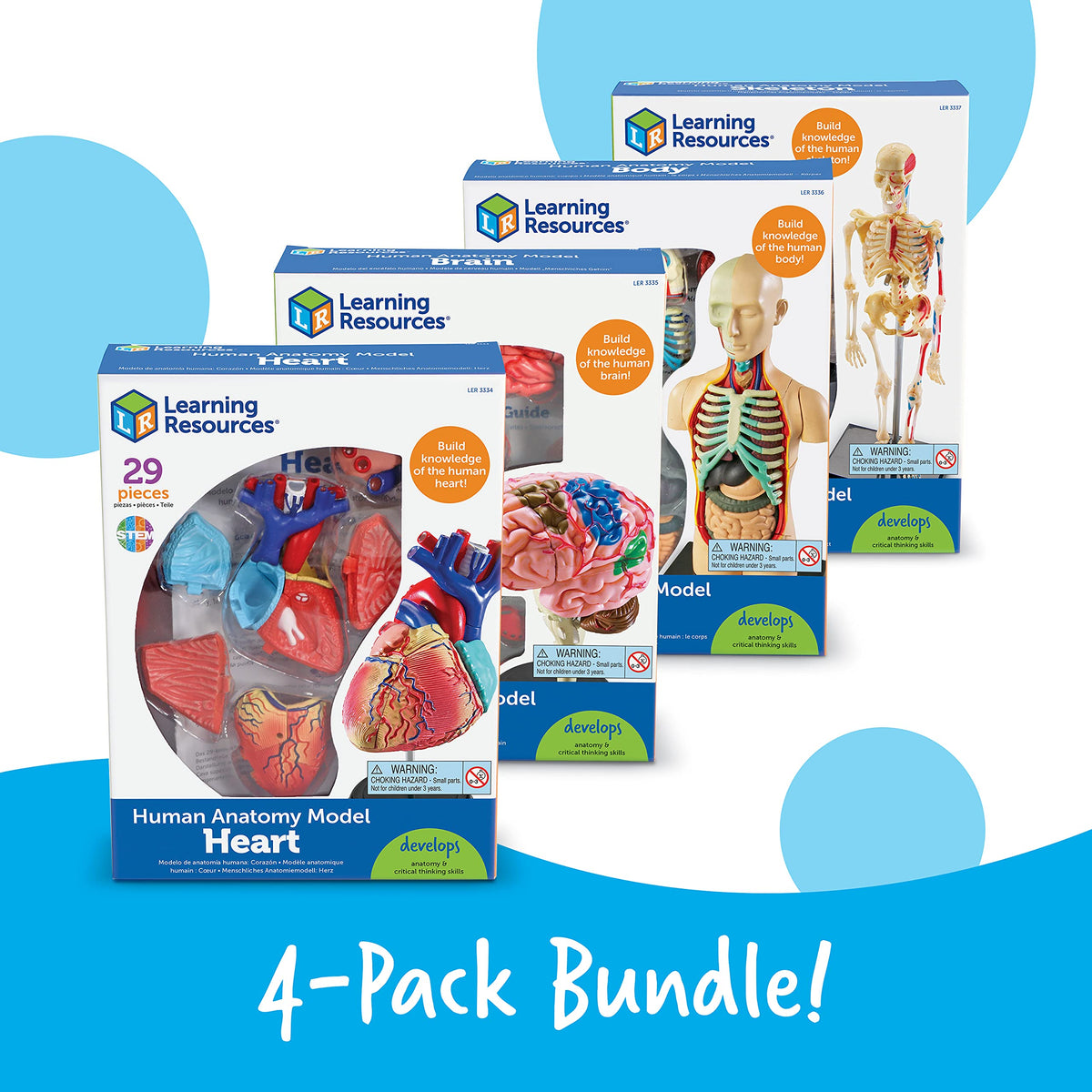 Learning Resources anatomy guide provides clear photo illustrated steps for student friendly study.