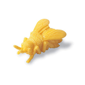 Backyard Bugs counters beetle pieces supporting patterning and classification activities.