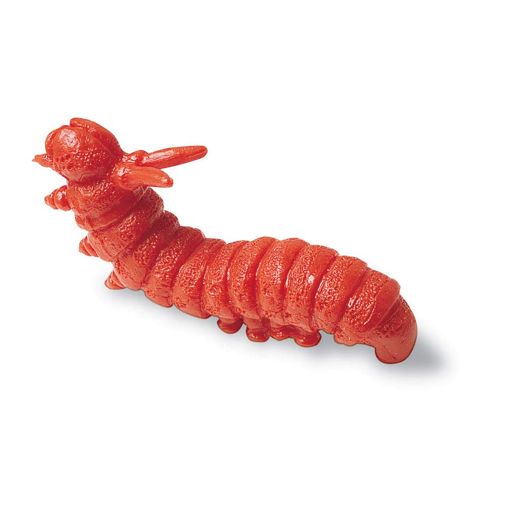 Backyard Bugs counters spider pieces enabling tactile grouping exercises for kids.