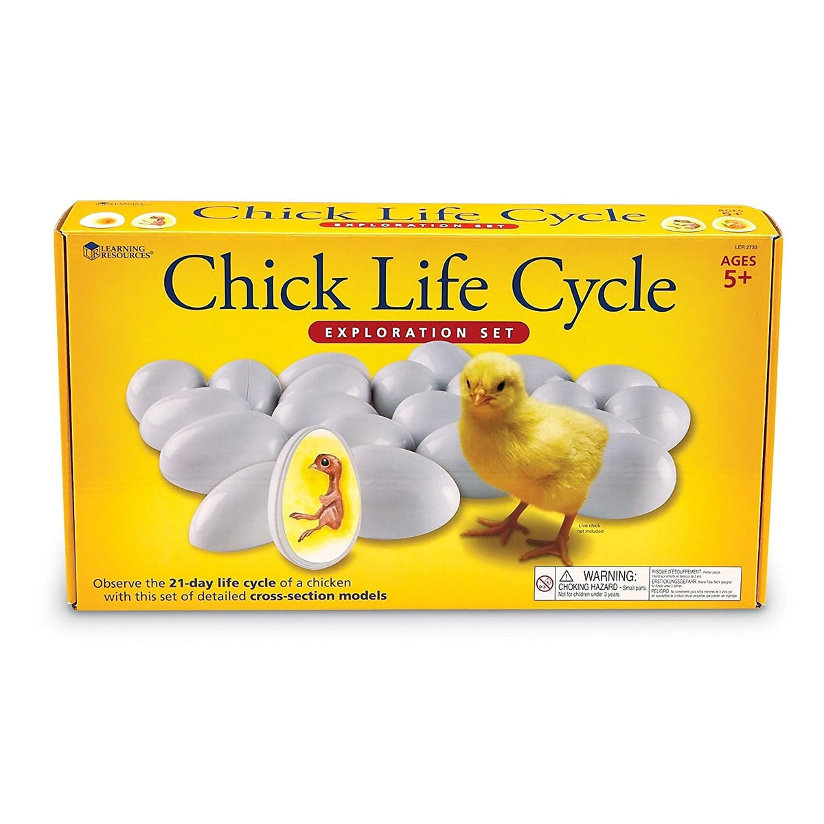 Learning Resources multilingual activity guide boosts vocabulary in chicken biology lessons.