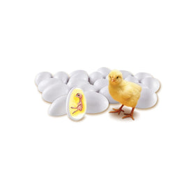 Learning Resources eggs cracking open reveal illustrations for hands-on life cycle study.