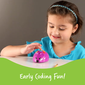 Coding cards and robot mouse showing step-by-step sequencing