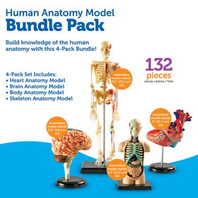 Learning Resources display stand set ensures stable presentation of completed models.