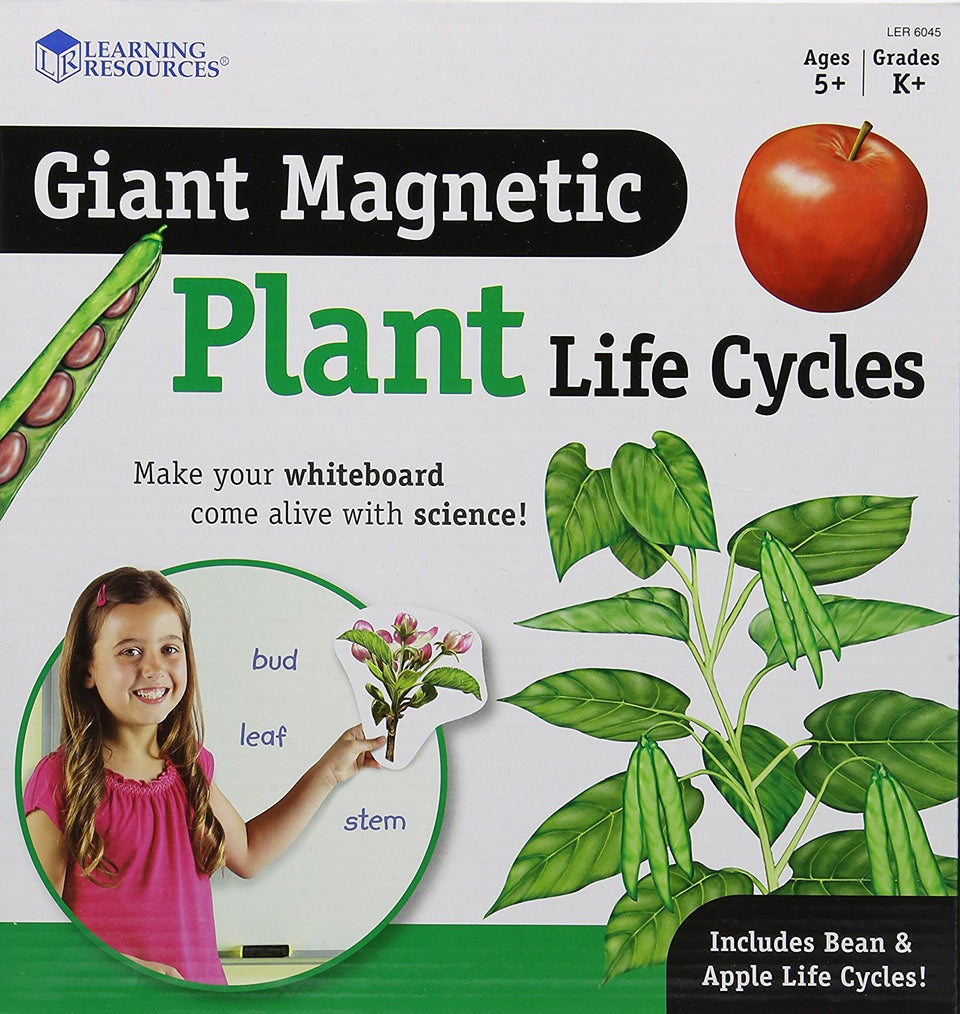Learning Resources giant magnetic plant life cycle bean sequence for hands-on learning
