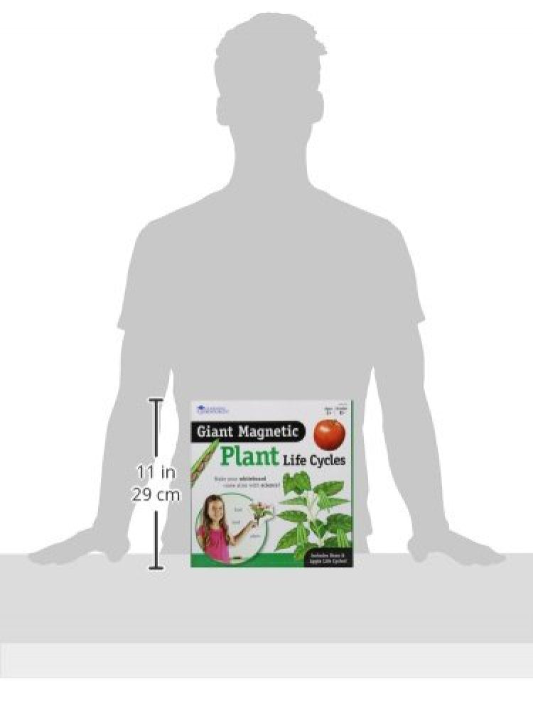 Learning Resources giant magnetic plant life cycle STEM vocabulary boost during lessons