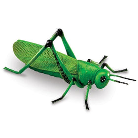 Learning Resources Jumbo Insects Ladybug – vivid, easy-to-clean bug for classroom centers and pretend play