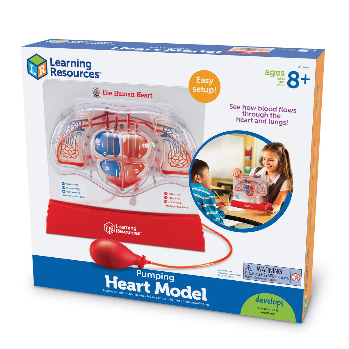 Learning Resources Pumping Heart Model with activity guide for structured lessons