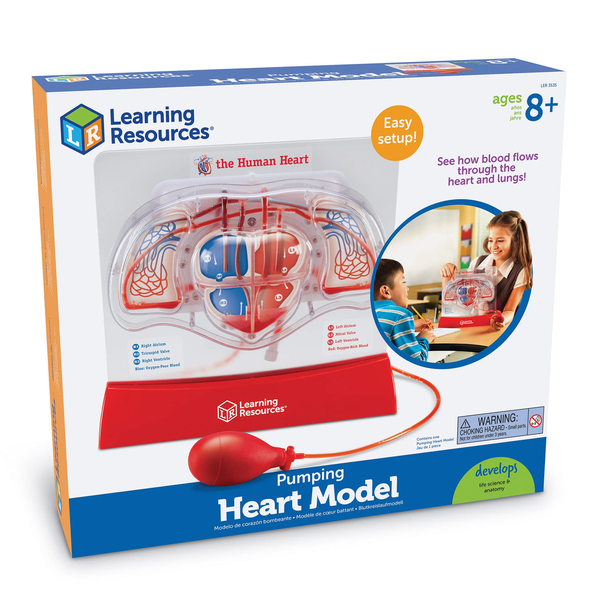Learning Resources Pumping Heart Model durable classroom tool for science lessons
