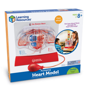 Learning Resources Pumping Heart Model durable classroom tool for science lessons