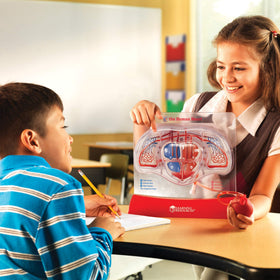 Learning Resources Pumping Heart Model hand pump demonstrates circulation in action