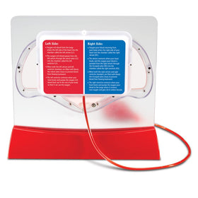 Learning Resources Pumping Heart Model red dye packets vivid blood flow visualization