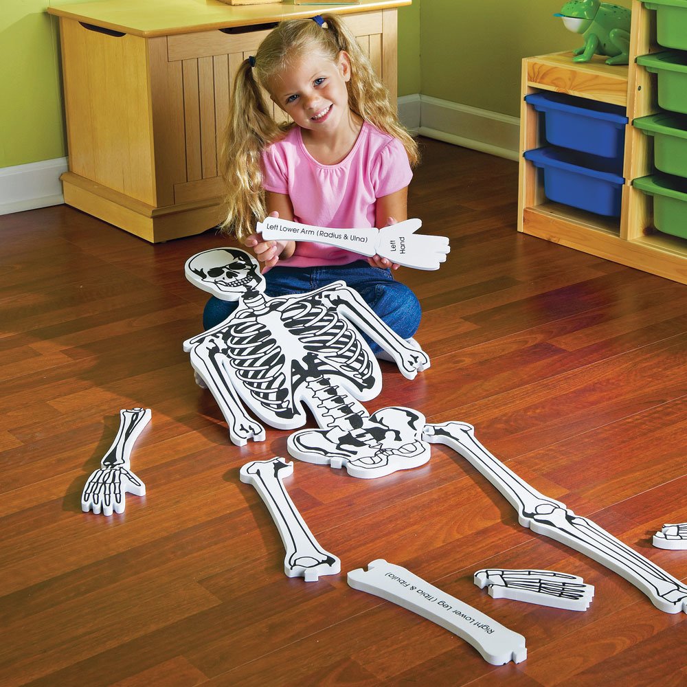 Learning Resources skeleton floor puzzle stands 4ft tall for dramatic visualization