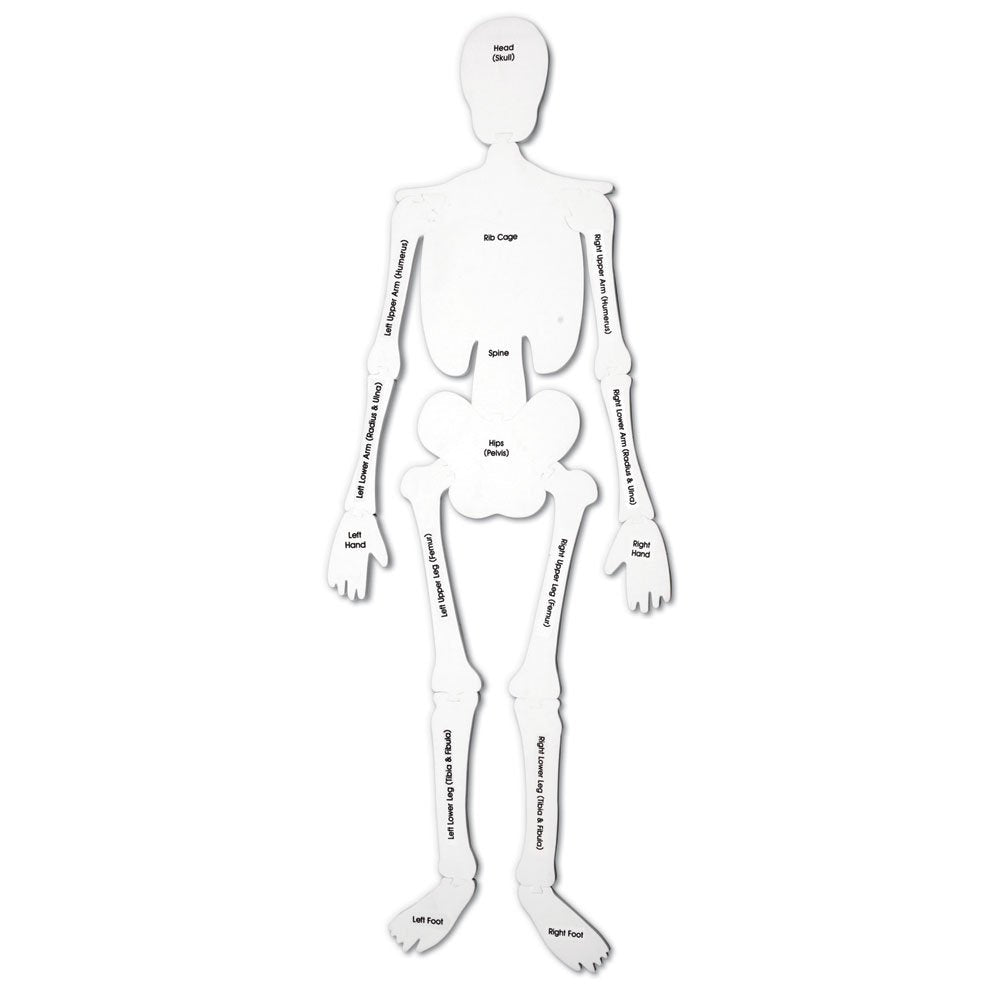 Learning Resources skeleton floor puzzle assembly activity in classroom