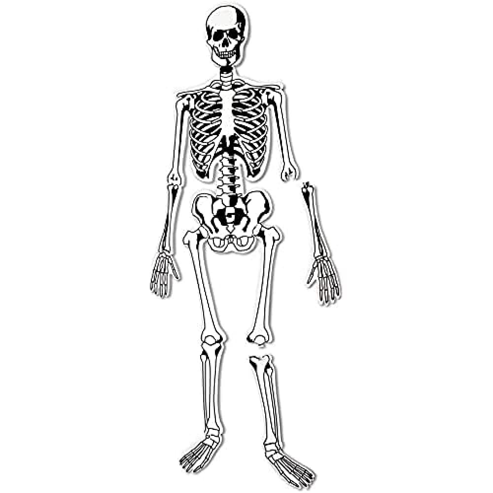 Learning Resources skeleton floor puzzle life-size for hands-on anatomy exploration