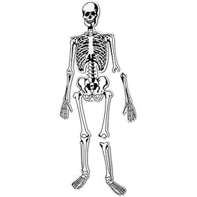 Learning Resources skeleton floor puzzle life-size for hands-on anatomy exploration