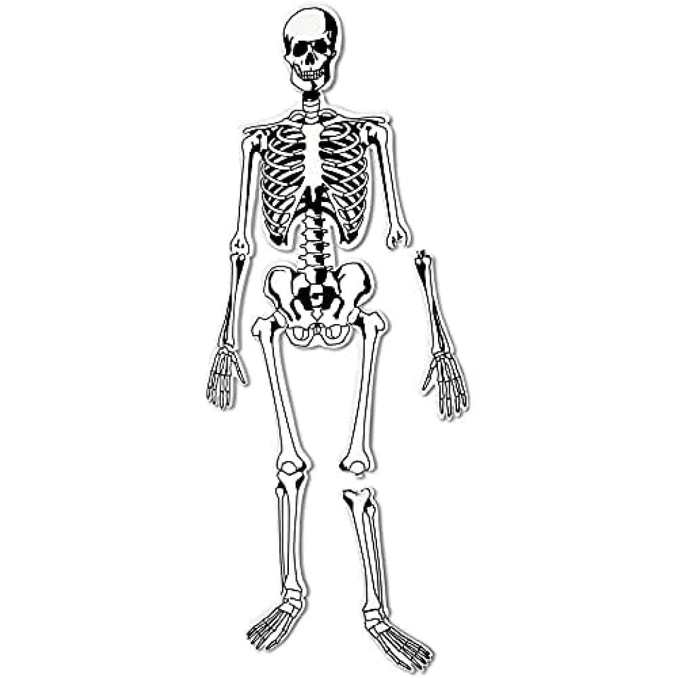 Learning Resources skeleton floor puzzle life-size for hands-on anatomy exploration