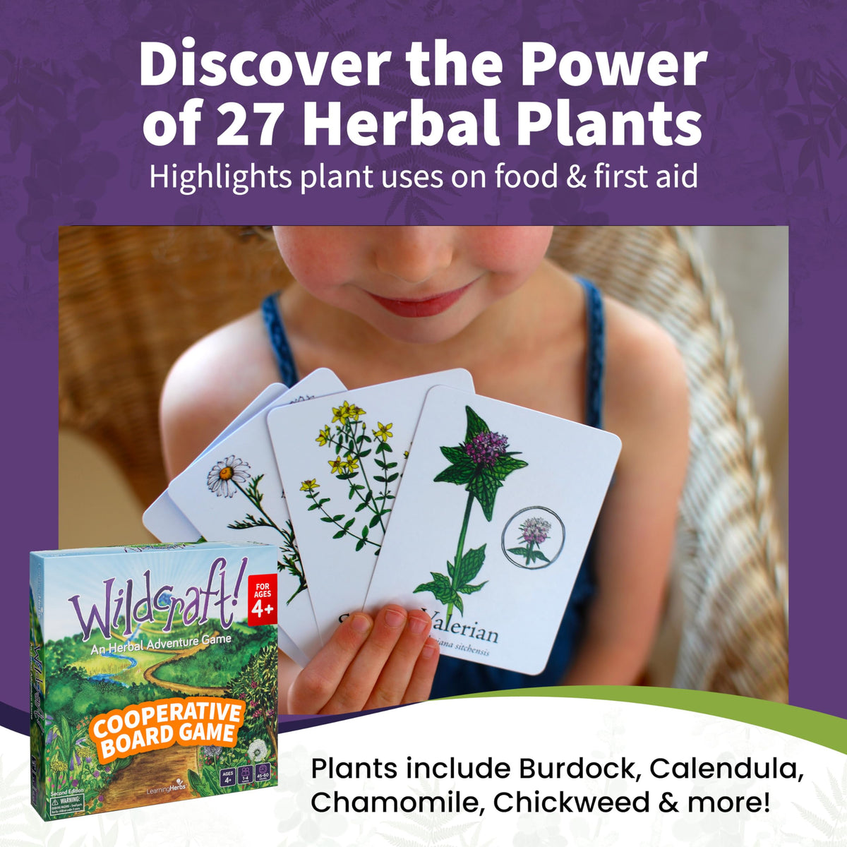 Wildcraft illustrated storybook supports immersive herbal learning.