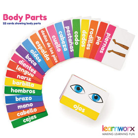 Learnworx Spanish flash cards durable thick cards that wipe clean easily