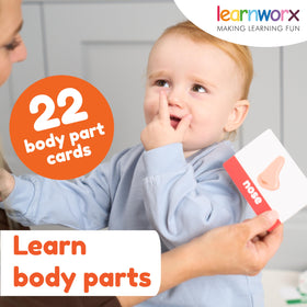 Learn Worx Toddler Flash Cards numbers with bold visuals for counting practice