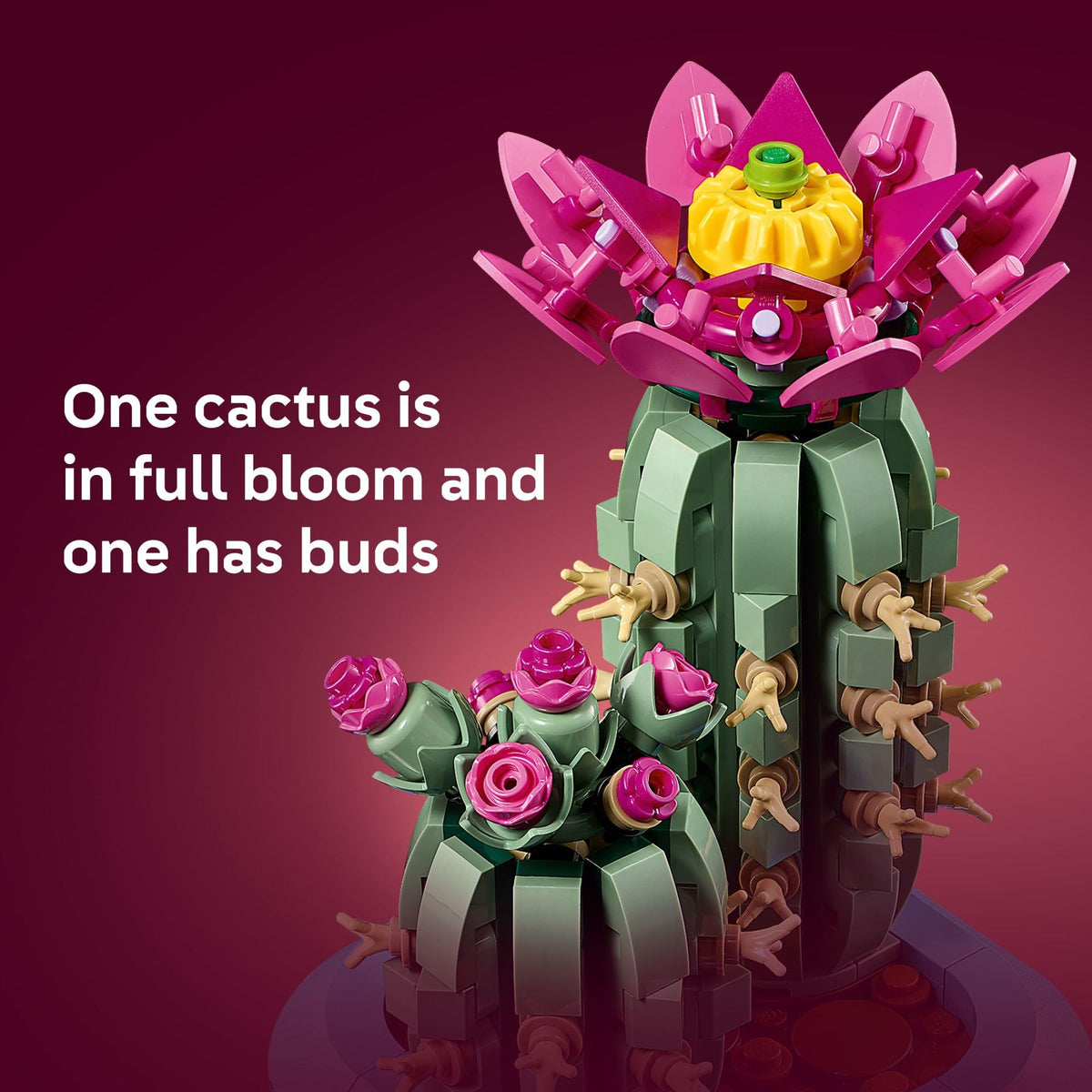 Close-up of pink buds on the smaller cactus model