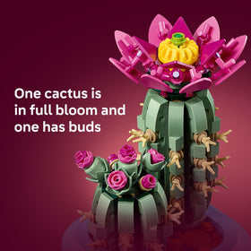 Close-up of pink buds on the smaller cactus model