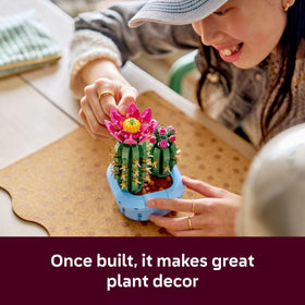LEGO Botanicals cacti displayed as bedroom decor on a shelf