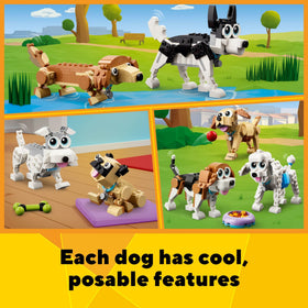 Husky and long-haired dachshund rebuild option illustrating variety in play