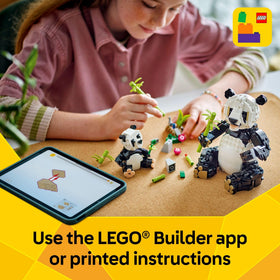 LEGO Creator 3-in-1 build set with 626 pieces for versatile play