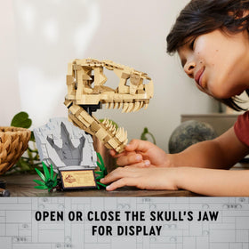 LEGO Jurassic World stand and plaque for organized display of the fossil.