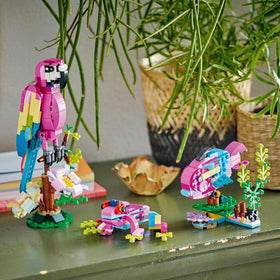 LEGO Creator 31144 Exotic Pink Parrot build sequence and display setup