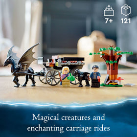 Adult Thestral pulls the carriage for dynamic, magical adventures.