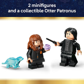 LEGO Harry Potter Hogwarts portrait and potion ingredients enhance storytelling.