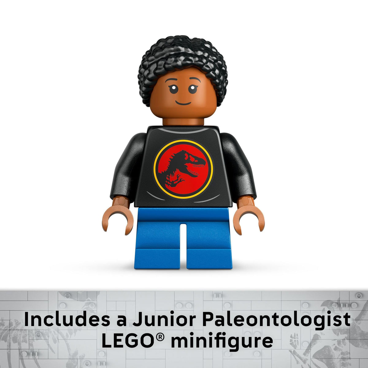LEGO Builder app 3D view supports guided building and progress tracking.