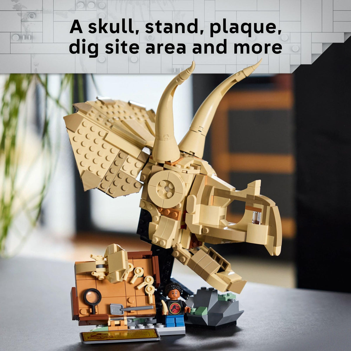 LEGO Jurassic World dig site plate with mini-fossils for pretend excavation.