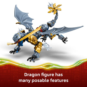 LEGO NINJAGO Arin and Nya dragon form minifigs for heroic scenes.