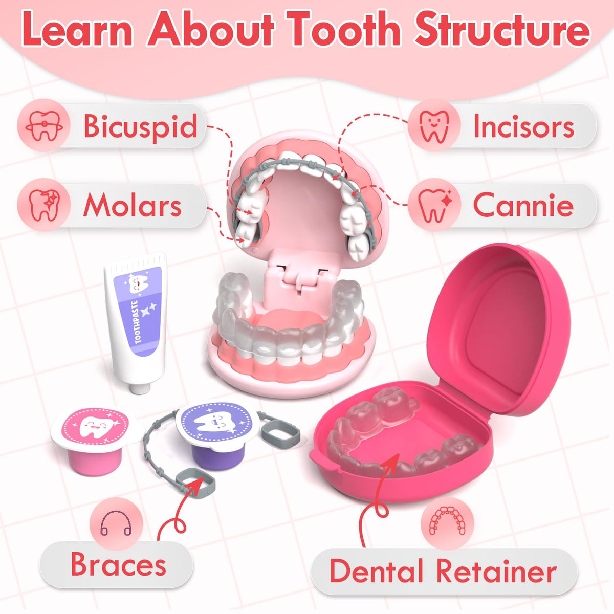 Lehoo Castle tooth model with braces and aligners for storytelling.