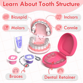 Lehoo Castle tooth model with braces and aligners for storytelling.