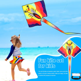 Leitee 6-pack large kite eagle design, stable flights in breeze.