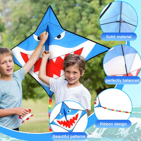 Leitee 6-pack large kite owl design, quick setup for park fun.