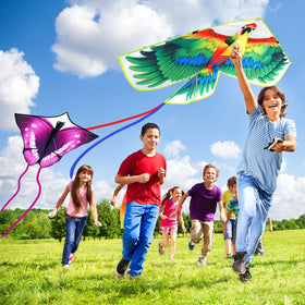 Leitee eagle kite, bold silhouette for wide-open field flights