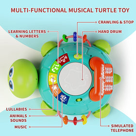 Letapapa turtle toy lights and music buttons promote sensory exploration and early hearing awareness