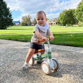 Liberry balance bike assembly included with clear instructions.