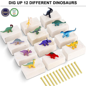 Liberty Imports dino dig kit 12 species unveiled promotes curiosity and STEM exploration.