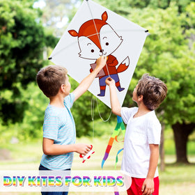 Libima kite flying outdoors during family activities